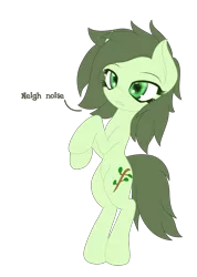 Size: 4536x6378 | Tagged: safe, artist:an-m, derpibooru import, oc, unofficial characters only, earth pony, pony, absurd resolution, bipedal, descriptive noise, horse noises, lidded eyes, meme, neigh, open mouth, simple background, solo, transparent background