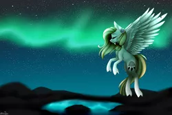 Size: 4500x3000 | Tagged: safe, artist:ohhoneybee, derpibooru import, oc, oc:hunter dream, unofficial characters only, pegasus, pony, absurd resolution, aurora borealis, female, mare, night, solo