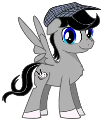 Size: 988x1162 | Tagged: safe, artist:chopsticks, derpibooru import, oc, oc:chopsticks, unofficial characters only, pegasus, pony, 2017 community collab, derpibooru community collaboration, blue eyes, chest fluff, cutie mark, hat, male, peace sign, ponysona, simple background, smiling, solo, stallion, svg, .svg available, transparent background, vector, wing hands