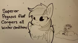 Size: 1280x720 | Tagged: safe, artist:tjpones, derpibooru import, rainbow dash, twilight sparkle, twilight sparkle (alicorn), alicorn, pegasus, pony, chest fluff, cloud, cold, cute, duo, ear fluff, fluffy, freezing, grayscale, impossibly large chest fluff, monochrome, shivering, snow, snowfall, winter