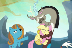 Size: 1557x1051 | Tagged: safe, artist:lettelauren, deleted from derpibooru, derpibooru import, discord, fluttershy, oc, oc:drip drop, to where and back again, animated, awkward, discoshy, gif, male, shipper on deck, shipping, straight