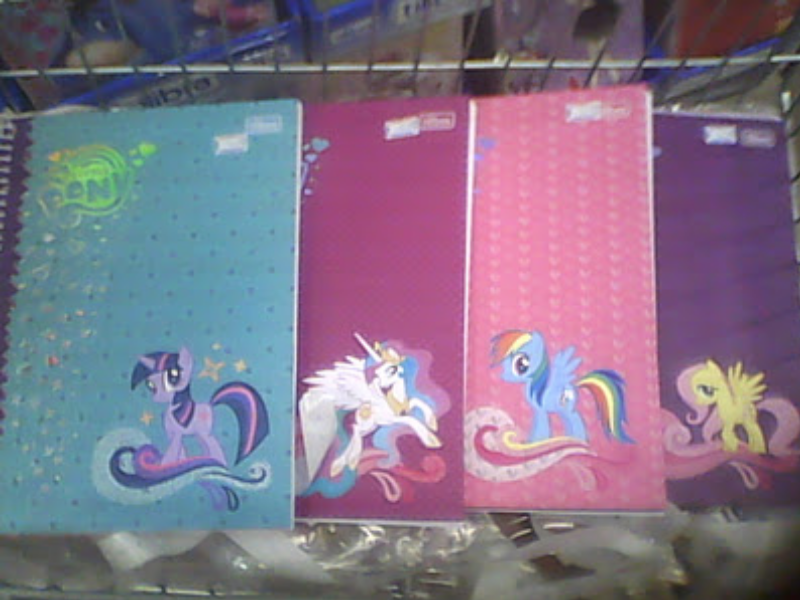 Size: 800x600 | Tagged: cardboard twilight, derpibooru import, fluttershy, irl, merchandise, notebook, photo, princess celestia, rainbow dash, safe, stock vector, twilight sparkle