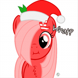 Size: 400x400 | Tagged: safe, artist:arifproject, derpibooru import, edit, oc, oc:downvote, ponified, unofficial characters only, earth pony, pony, derpibooru, :i, animated, arif's christmas pones, arif's scrunchy pone, chest fluff, cute, derpibooru ponified, female, gif, hat, looking at you, mare, meta, santa hat, simple background, solo, white background