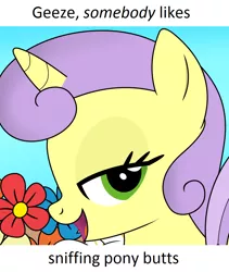Size: 852x1010 | Tagged: artist:bluemeganium, bedroom eyes, cropped, derpibooru import, dialogue, edit, face, female, looking at you, rarity takes manehattan, solo, solo female, suggestive, sunshine petals