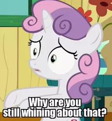 Size: 437x475 | Tagged: safe, derpibooru import, edit, edited screencap, screencap, sweetie belle, the fault in our cutie marks, caption, confused, flower, image macro, meme, reaction image, solo, table, vase, window