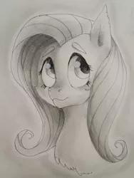 Size: 960x1280 | Tagged: artist:ponybone, derpibooru import, fluttershy, monochrome, safe, solo, traditional art