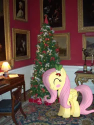 Size: 2736x3648 | Tagged: safe, artist:harpycross, derpibooru import, fluttershy, pegasus, pony, blushing, book, chair, christmas, christmas lights, christmas tree, clavichord, cute, decoration, female, holiday, holly, irl, mare, photo, photoshop, ponies in real life, present, shyabetes, smiling, solo, table, tree, updated, vector