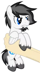 Size: 4480x8000 | Tagged: safe, artist:justisanimation, derpibooru import, oc, oc:marshmallow fluffbutt, unofficial characters only, human, pegasus, pony, absurd resolution, angry, grumpy, holding a pony, justis holds a pony, male, simple background, stallion, transparent background