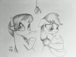 Size: 4032x3022 | Tagged: safe, artist:theasce, derpibooru import, applejack, rarity, absurd resolution, blushing, female, heart, holly, holly mistaken for mistletoe, lesbian, monochrome, rarijack, shipping