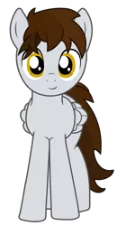 Size: 4400x8437 | Tagged: safe, derpibooru import, oc, oc:streaming arrow, unofficial characters only, pegasus, pony, 2017 community collab, derpibooru community collaboration, absurd resolution, male, simple background, solo, transparent background