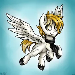 Size: 3024x3024 | Tagged: safe, artist:gaelledragons, derpibooru import, oc, oc:white feather, unofficial characters only, pegasus, pony, clothes, male, scarf, solo, stallion