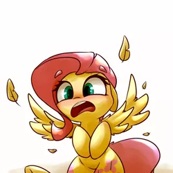 Size: 5000x5000 | Tagged: safe, artist:bloodatius, derpibooru import, fluttershy, pegasus, pony, absurd resolution, adorable distress, blushing, both cutie marks, cute, feather, female, flustered, flustershy, mare, open mouth, shyabetes, simple background, solo, spread wings, startled, white background