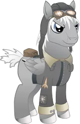 Size: 1368x2112 | Tagged: safe, artist:deyrasd, derpibooru import, oc, oc:dornier flieger, unofficial characters only, pegasus, pony, aviator goggles, clothes, male, simple background, solo, stallion, transparent background