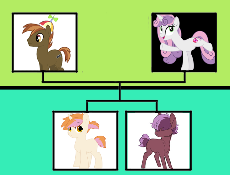 Size: 732x557 | Tagged: artist:alphamonouryuuken, artist:kianamai, button mash, derpibooru import, family tree, kilalaverse, kilalaverse ii, male, next generation, oc, oc:pixel bit, oc:tacet, offspring, parent:button mash, parents:sweetiemash, parent:sweetie belle, safe, shipping, straight, sweetie belle, sweetiemash