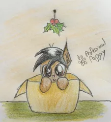 Size: 2064x2279 | Tagged: safe, artist:professionalpuppy, derpibooru import, oc, oc:cocoa mocha, unofficial characters only, pony, box, cardboard box, christmas, cute, holly, holly mistaken for mistletoe, looking at you, pony in a box, solo, traditional art