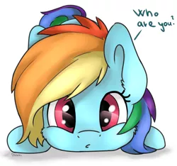 Size: 3200x3000 | Tagged: safe, artist:dbleki, derpibooru import, rainbow dash, pony, cheek fluff, curious, cute, dashabetes, dialogue, ear fluff, fluffy, fluffyball, looking at you, simple background, solo