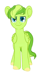 Size: 856x1500 | Tagged: safe, artist:kate littlewing, derpibooru import, oc, oc:lime zest, unofficial characters only, pegasus, pony, 2017 community collab, derpibooru community collaboration, looking at you, male, simple background, smiling, solo, transparent background