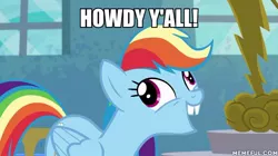 Size: 600x337 | Tagged: caption, derpibooru import, edit, edited screencap, forthright filly, image macro, meme, newbie dash, rainbow dash, safe, screencap, solo, spongebob squarepants, squirrel jokes, window, y'all