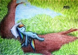 Size: 2842x2000 | Tagged: artist:ponystarpony, derpibooru import, pillow, rainbow dash, safe, sleeping, solo, traditional art, tree