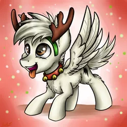 Size: 3024x3024 | Tagged: safe, artist:gaelledragons, derpibooru import, oc, oc:bolt the super pony, ponified, unofficial characters only, pegasus, pony, behaving like a dog, bell, bell collar, bolt, collar, jingle bells, reindeer antlers, solo, spread wings, tongue out