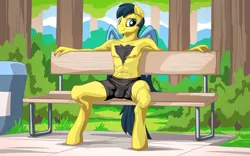 Size: 1920x1200 | Tagged: alternate version, anthro, armpits, artist:mysticalpha, bare chest, bench, chest hair, clothes, derpibooru import, explicit source, male, oc, oc:tinkerwing, outdoors, park, partial nudity, pegasus, shorts, solo, solo male, suggestive, topless, unguligrade anthro, unofficial characters only