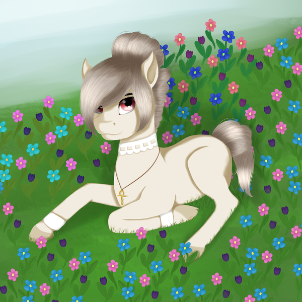 Size: 2000x2000 | Tagged: safe, artist:heniek, derpibooru import, oc, unofficial characters only, earth pony, pony, flower, grass, jewelry, looking at you, lying down, meadow, necklace, solo