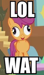 Size: 190x320 | Tagged: safe, derpibooru import, edit, edited screencap, screencap, scootaloo, pegasus, pony, derp, female, filly, folded wings, image macro, lol, meme, open mouth, reaction image, scootaderp, smiling, solo, stairs, wat