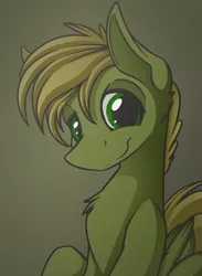 Size: 828x1130 | Tagged: artist:allyster-black, chest fluff, cute, derpibooru import, fallout equestria, fallout equestria: murky number seven, oc, oc:murky, safe, solo, unofficial characters only, when he smiles