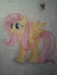 Size: 576x768 | Tagged: artist:ponystarpony, derpibooru import, fluttershy, looking at something, safe, solo, spread wings, traditional art