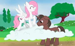 Size: 3840x2400 | Tagged: safe, artist:sweetblasphemy, derpibooru import, oc, oc:cherry snow, oc:coarse stone, unofficial characters only, pegasus, pony, unicorn, cloud, commission, eyes closed, female, grass, male, mare, stallion, tree