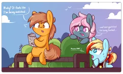 Size: 1952x1177 | Tagged: suggestive, artist:dsp2003, derpibooru import, oc, oc:brownie bun, oc:honey wound, oc:juicy dream, oc:meadow stargazer, unofficial characters only, earth pony, pony, bench, bipedal, blushing, chibi, cloud, comic, female, lesbian, newspaper, single panel, sitting, style emulation, tumblr