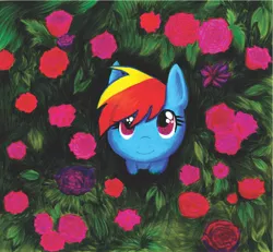 Size: 1024x946 | Tagged: artist:wormologist, bust, derpibooru import, flower, flower field, high angle, looking at you, looking up, portrait, rainbow dash, rose, safe, sitting, smiling, solo, traditional art