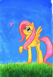 Size: 934x1360 | Tagged: artist:wormologist, butterfly, derpibooru import, fluttershy, gouache, grass, looking at something, looking up, raised hoof, safe, solo, spread wings, traditional art