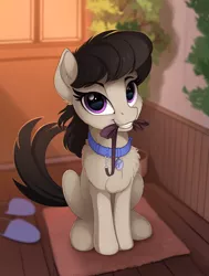 Size: 1250x1650 | Tagged: safe, artist:yakovlev-vad, derpibooru import, octavia melody, earth pony, pony, behaving like a dog, chest fluff, clothes, collar, colored sketch, cute, dogtavia, female, fluffy, grin, leash, lidded eyes, looking at you, looking up, mare, mouth hold, pony pet, shoulder fluff, sitting, slippers, smiling, solo, tavibetes, yakovlev-vad is trying to murder us