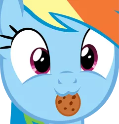 Size: 11060x11464 | Tagged: safe, artist:cyanlightning, derpibooru import, rainbow dash, .svg available, :3, absurd resolution, catface, close-up, cookie, cute, dashabetes, food, looking at you, rainbow dash is best facemaker, simple background, smiling, solo, transparent background, vector