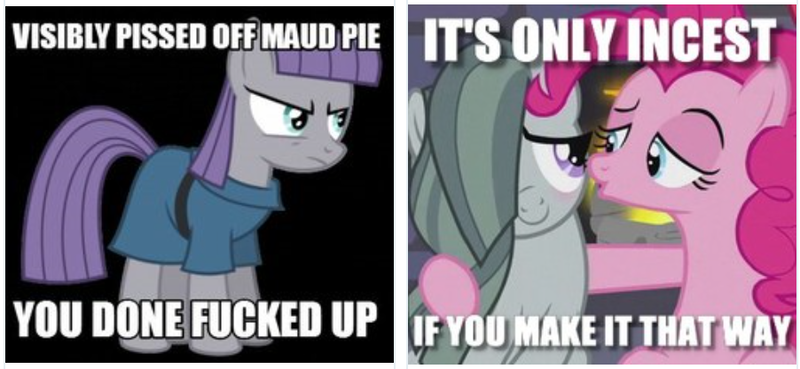 Size: 902x416 | Tagged: derpibooru, derpibooru import, image macro, incest, juxtaposition, juxtaposition win, marble pie, maud pie, meme, meta, piecest, pinkie pie, safe, text, vulgar