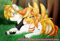 Size: 1024x698 | Tagged: safe, artist:alexa1alexa, derpibooru import, oc, oc:serenity, oc:white feather, unofficial characters only, earth pony, pegasus, pony, female, male, mare, oc x oc, serenither, shipping, stallion, straight