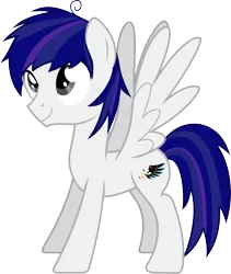 Size: 4153x4925 | Tagged: safe, artist:livehotsun, derpibooru import, oc, oc:hotsun, unofficial characters only, pegasus, pony, absurd resolution, cutie mark, male, simple background, solo, stallion, transparent background, vector