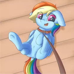 Size: 1500x1500 | Tagged: suggestive, alternate version, artist:dbleki, derpibooru import, rainbow dash, pony, chest fluff, collar, cute, dock, dominant pov, drool, featureless crotch, floppy ears, fluffy, heart eyes, leash, looking at you, offscreen character, on back, pet, pet play, pet-dash, pov, solo, underhoof, wingding eyes