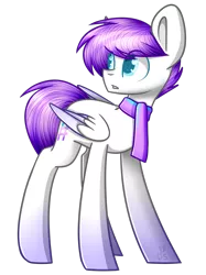 Size: 1077x1440 | Tagged: safe, artist:despotshy, derpibooru import, oc, unofficial characters only, pegasus, pony, clothes, male, scarf, simple background, solo, stallion, transparent background
