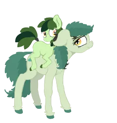 Size: 1750x1846 | Tagged: artist:paskanaakka, blank flank, chest fluff, colored hooves, derpibooru import, duo, ear fluff, female, filly, floppy ears, freckles, lidded eyes, looking back, oc, oc:bittergreen, oc:sweetleaf, ponies riding ponies, safe, simple background, sisters, tail wrap, transparent background, unofficial characters only, unshorn fetlocks