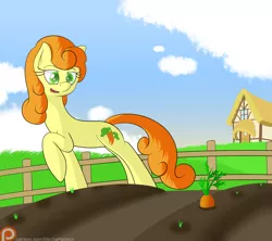 Size: 1800x1600 | Tagged: artist:mechanized515, background pony, carrot, carrot top, derpibooru import, farm, food, golden harvest, patreon, patreon logo, redraw, safe, solo