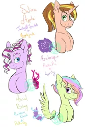 Size: 1024x1536 | Tagged: safe, artist:farewelldecency, deleted from derpibooru, derpibooru import, oc, oc:aerial belay, oc:arabesque, oc:saturn apple, unofficial characters only, adoptable, ambiguous gender, freckles, horn freckles, magical lesbian spawn, offspring, parent:applejack, parent:fluttershy, parent:pinkie pie, parent:rainbow dash, parent:rarity, parents:flutterdash, parents:raripie, parents:twijack, parent:twilight sparkle, simple background, white background