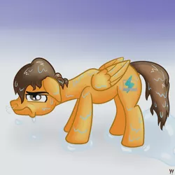 Size: 3000x3000 | Tagged: safe, artist:yakoshi, derpibooru import, oc, oc:compylight, unofficial characters only, pegasus, pony, floppy ears, gradient background, high res, male, snorting, solo, stallion, unamused, wet