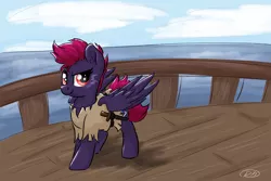 Size: 3000x2000 | Tagged: safe, artist:ruushiicz, derpibooru import, oc, oc:straight shot, unofficial characters only, pegasus, pony, clothes, ocean, pirate, ship, signature, solo, sword, weapon