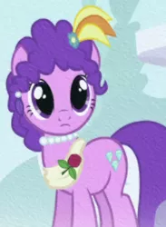 Size: 260x355 | Tagged: safe, derpibooru import, screencap, purple wave, earth pony, pony, the ticket master, cropped, female, flower, jewelry, looking at you, mare, necklace, rose, solo