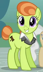 Size: 360x596 | Tagged: safe, derpibooru import, screencap, lady justice, mayor mare, swift justice, earth pony, pony, a friend in deed, background pony, female, mare, smile song, smiling, solo focus, suit collar, tail bun