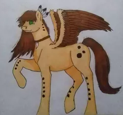 Size: 710x663 | Tagged: safe, artist:depresyjnyolowek, derpibooru import, oc, unofficial characters only, pegasus, pony, dots, feather, female, jewelry, mare, native american, necklace, random pony, simple, solo, traditional art