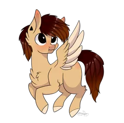 Size: 1915x1899 | Tagged: safe, artist:ohhoneybee, derpibooru import, oc, unofficial characters only, pegasus, pony, blushing, chest fluff, colored wings, male, multicolored wings, puffy cheeks, simple background, solo, stallion, transparent background