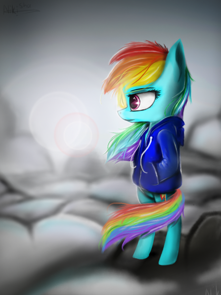 Size: 768x1024 | Tagged: safe, artist:nikisha15, derpibooru import, rainbow dash, pony, bipedal, clothes, cloud, hoodie, signature, solo, windswept mane